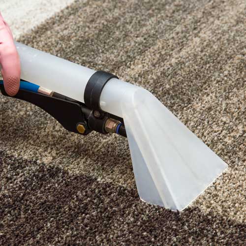 Carpet Cleaning | Fantastic Floors